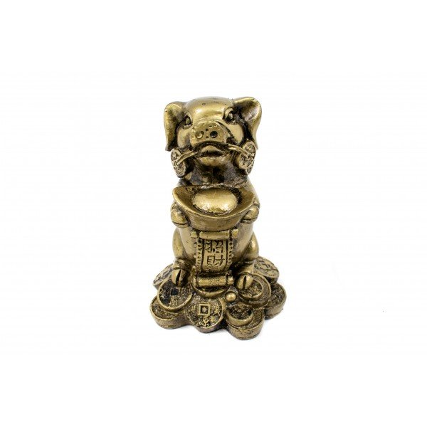 Figurine Feng Shui porc pe bani